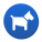 Animals: Dog